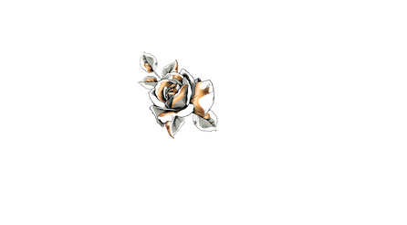 Neva Altaj Mafia Romance Author